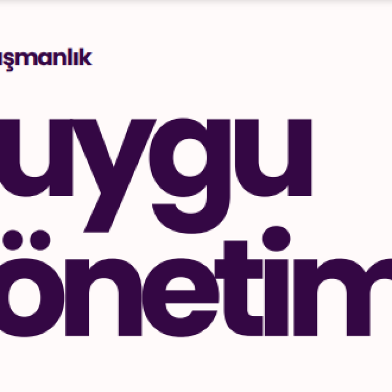 Ekran görüntüsü 2024-11-25 151427